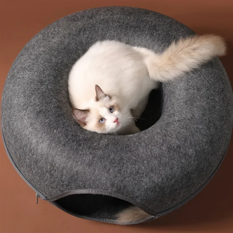 PawVerseâ„¢ Cat Tunnel
