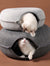PawVerseâ„¢ Cat Tunnel