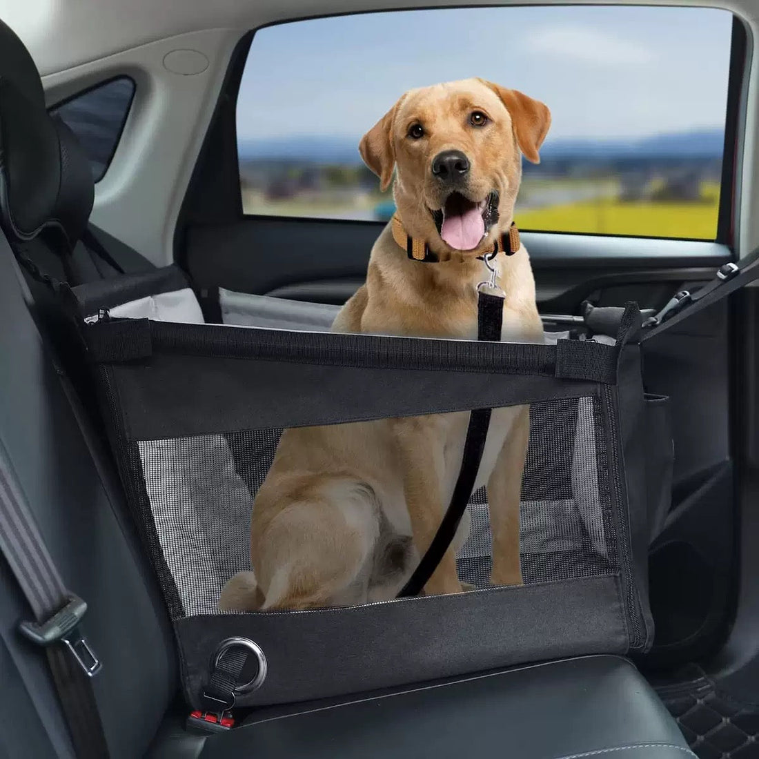 PawVerseâ„¢ Car Seat