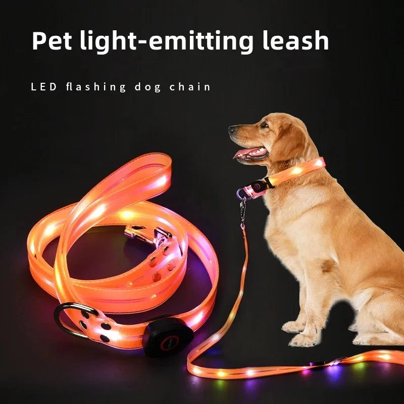 PawVerse™ LED Glow Collar & Leash Set