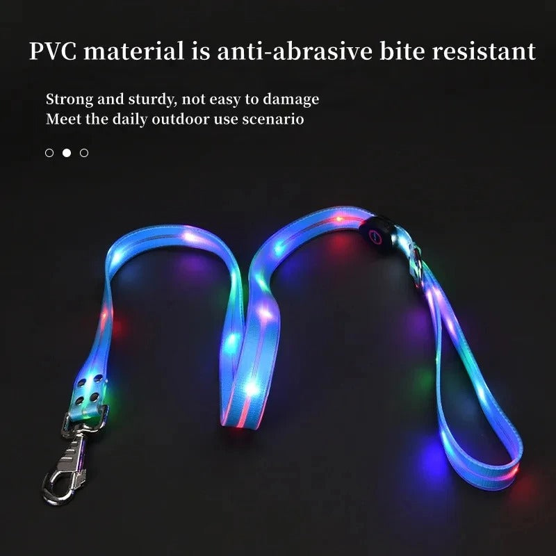 PawVerse™ LED Glow Collar & Leash Set