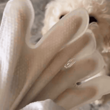 PawVerse™ CleanPaws No-Rinse Pet Cleaning Gloves (6 PCS )